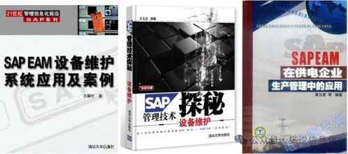 從擁有專業(yè)書的情況看國(guó)內(nèi)外erp軟件廠商的生態(tài)差異